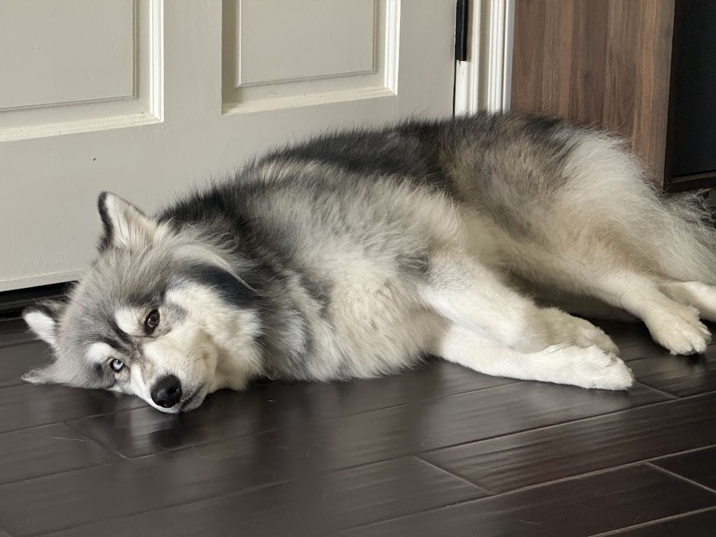 Charmsical Childcare and Preschool | 109 Goldenrod, Irvine, CA 92614, USA | Phone: (714) 655-7447