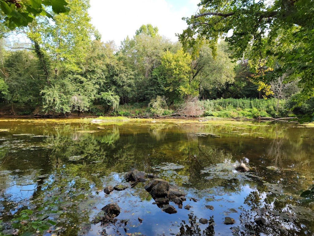 White Pines Nature Preserve | 548 S Rocky River Rd, Sanford, NC 27330, USA | Phone: (919) 908-8809