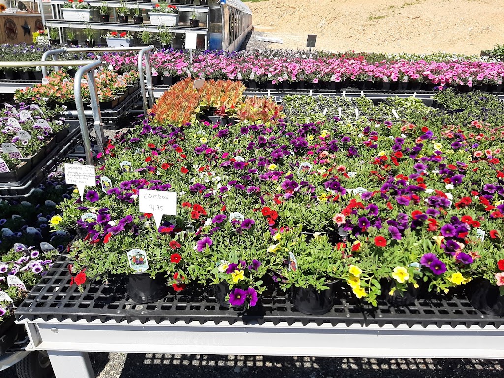 PennLand Greenhouse | 1365 Georgetown Rd, Littlestown, PA 17340 | Phone: (717) 898-1759