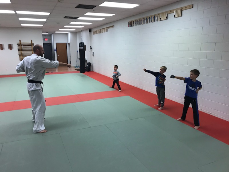 Great Lakes Kyokushin L.C. | 45021 W Pontiac Trail, Novi, MI 48377, USA | Phone: (586) 876-4309