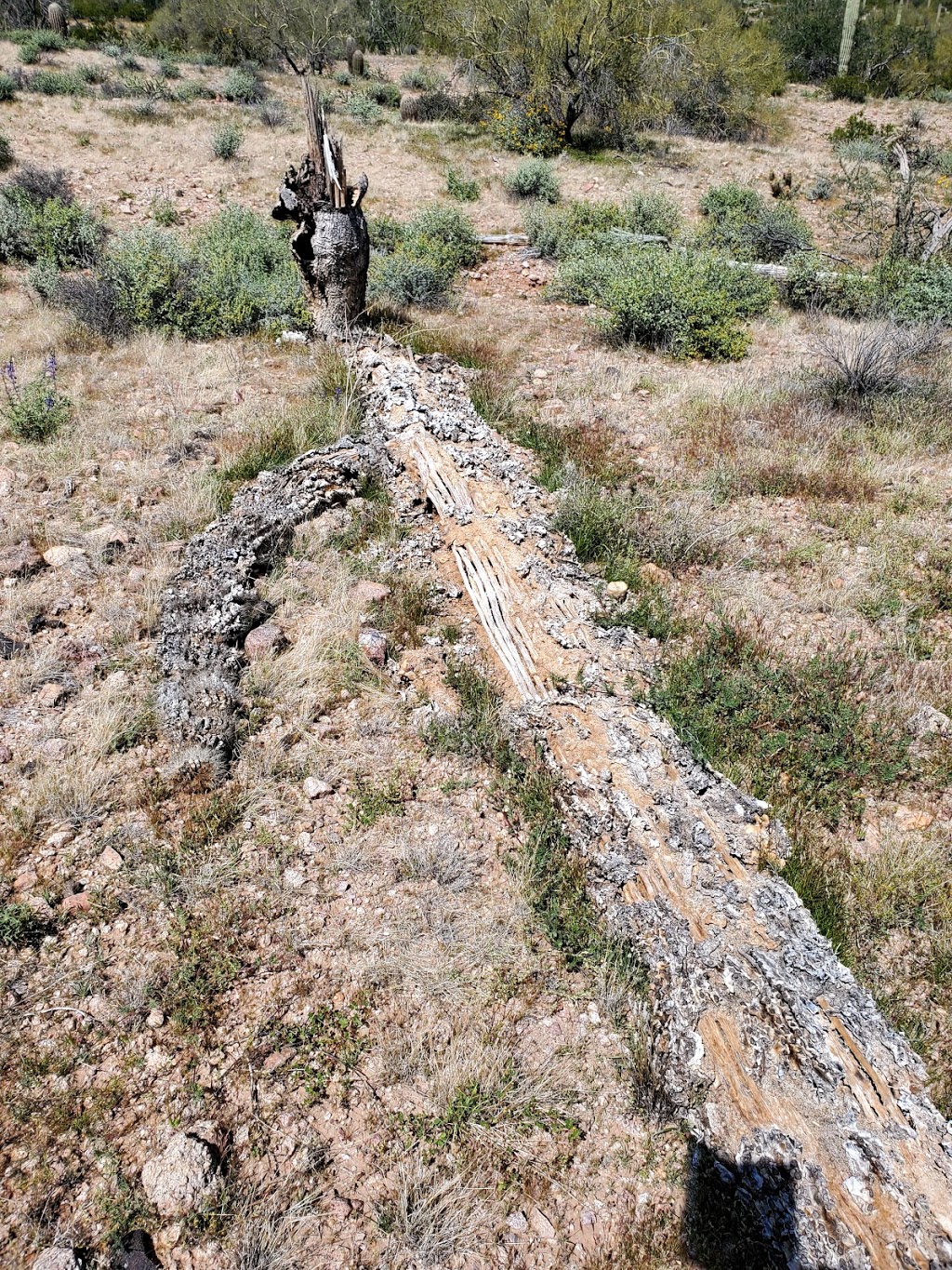 Rock Peak Wash Trailhead | Queen Creek, AZ 85142, USA | Phone: (480) 655-5554