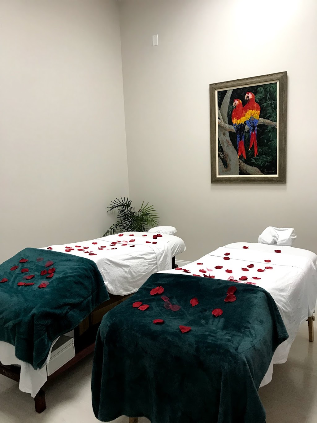 Alora Health Spa | 2295 S Hiawassee Rd Suite 105b, Orlando, FL 32835, USA | Phone: (407) 613-5507