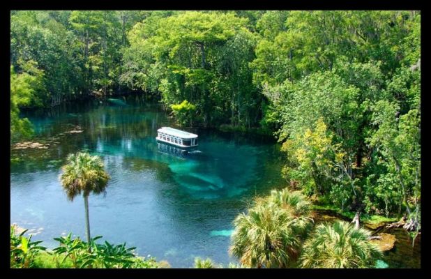 Coconut Kayak Tours | 715 Gulf Blvd, Indian Rocks Beach, FL 33785, USA | Phone: (727) 238-1960