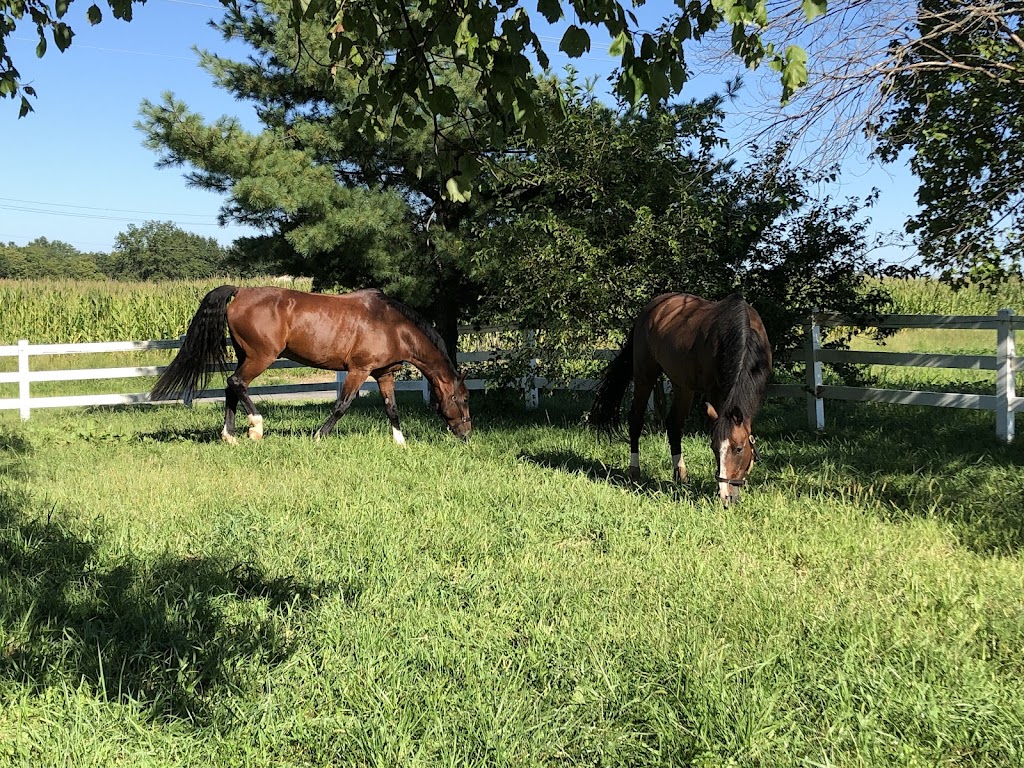 Briarstone Riding Academy | 3924 Floraville Rd, Waterloo, IL 62298, USA | Phone: (618) 719-9959