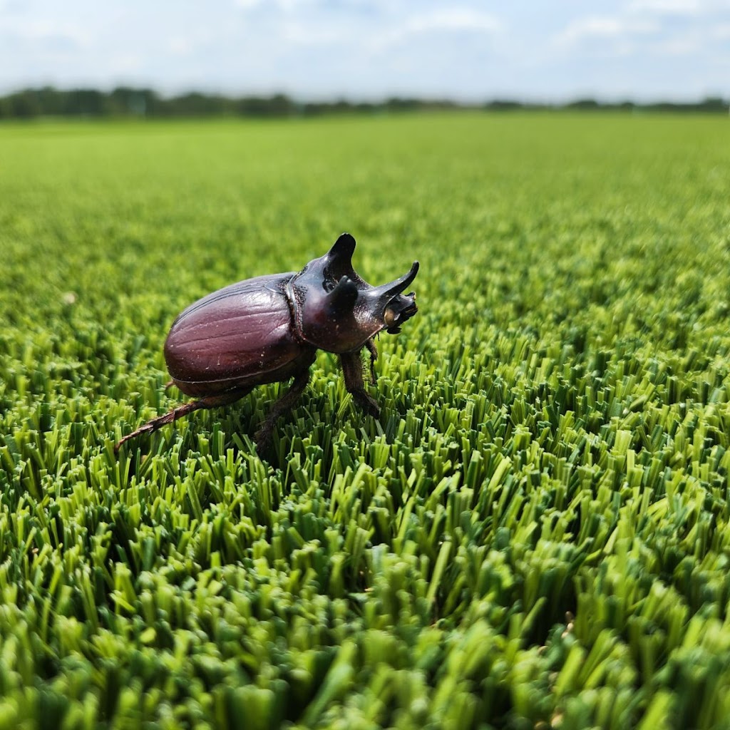 Fullscope Pest Control Kingwood | 3210 Redwood Lodge Ct, Kingwood Area, TX 77339, USA | Phone: (832) 898-0190