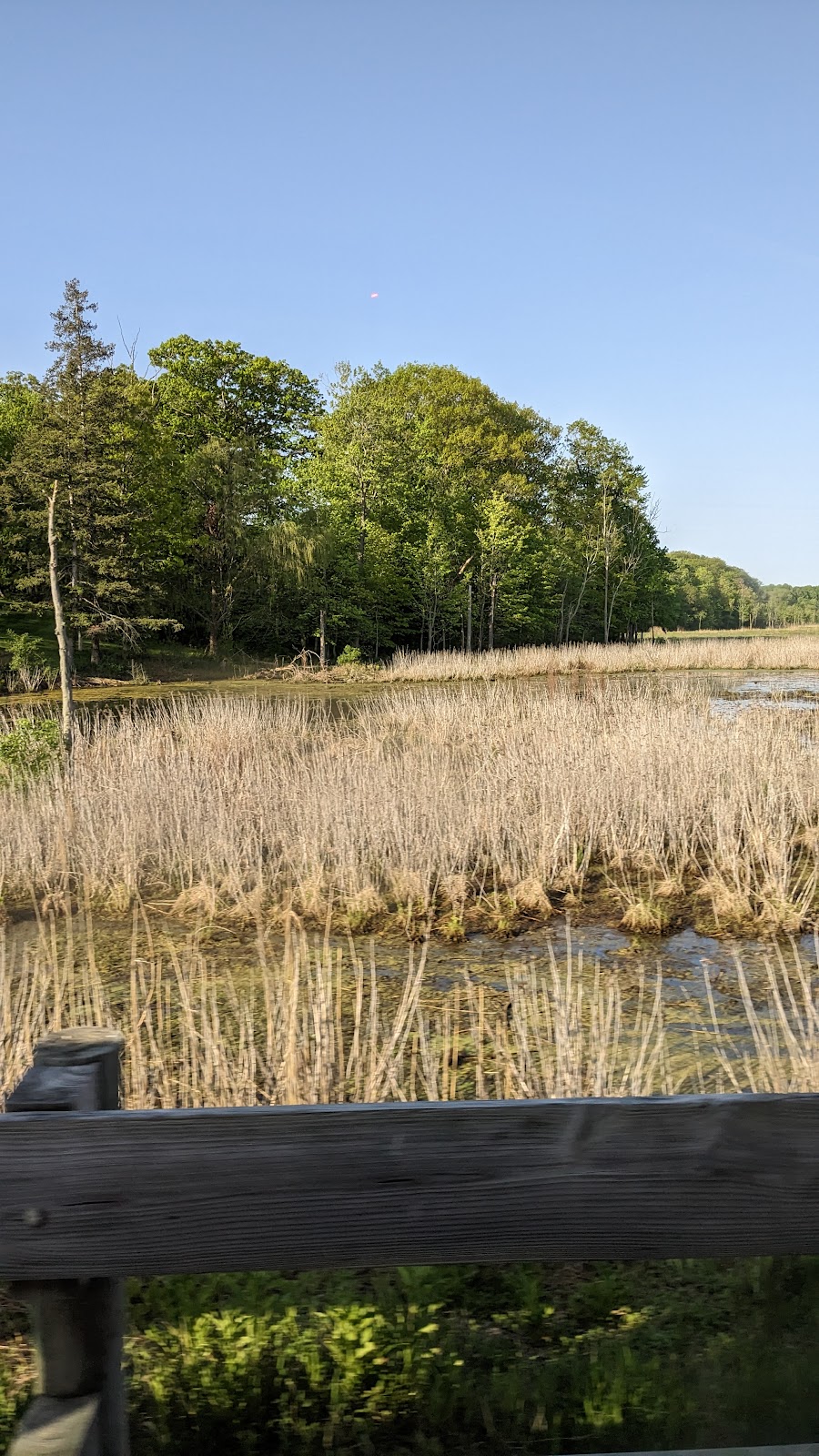 Mentor Marsh Nature Center | 5185 Corduroy Rd, Mentor, OH 44060, USA | Phone: (440) 257-0777