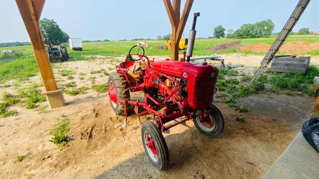 Honey Bee U-Pick patch - Tantre Farm | 5700 Scio Church Rd, Ann Arbor, MI 48103, USA | Phone: (734) 475-4323