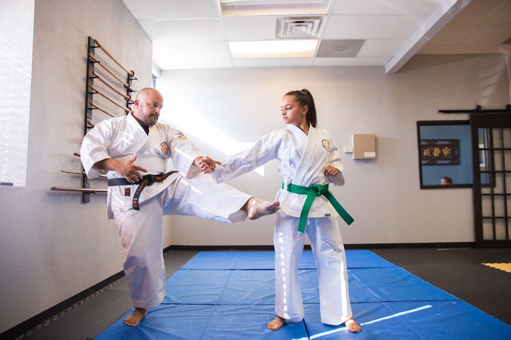 Kenshin Martial Arts | 5450 Meridian Rd, Peyton, CO 80831 | Phone: (719) 646-4896