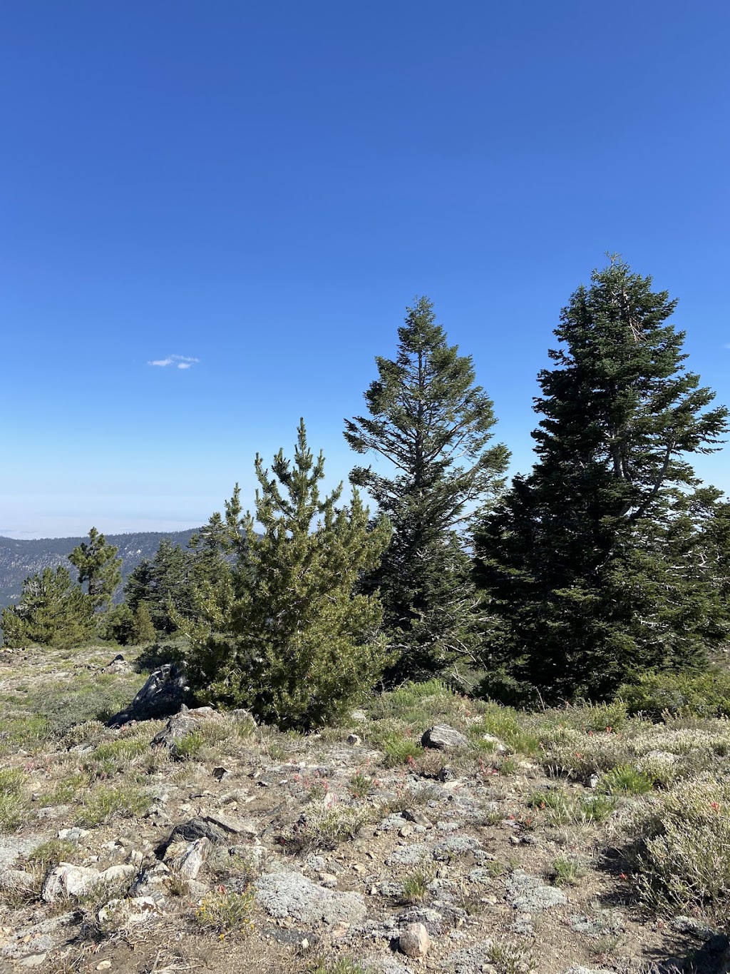 East Tumamait Trailhead - 21W03 | Mt Pinos Rd, Frazier Park, CA 93225, USA | Phone: (661) 245-3731 ext. 0