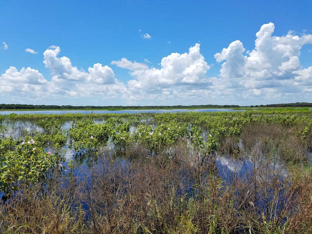 Myakka River State Park - Foxs Low Road Trail Head | Myakka State Park Rd, Sarasota, FL 34240, USA | Phone: (941) 361-6511