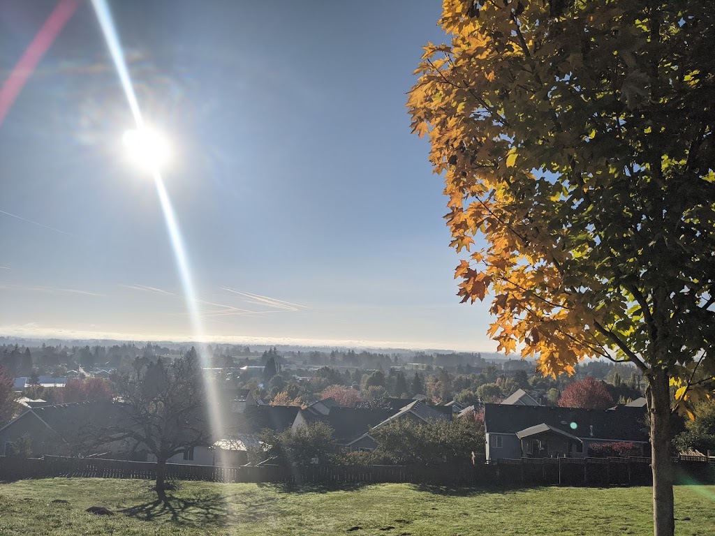 Dundee Scenic Overlook | 1155 SW Falcon Crest Dr, Dundee, OR 97115, USA | Phone: (503) 537-2909