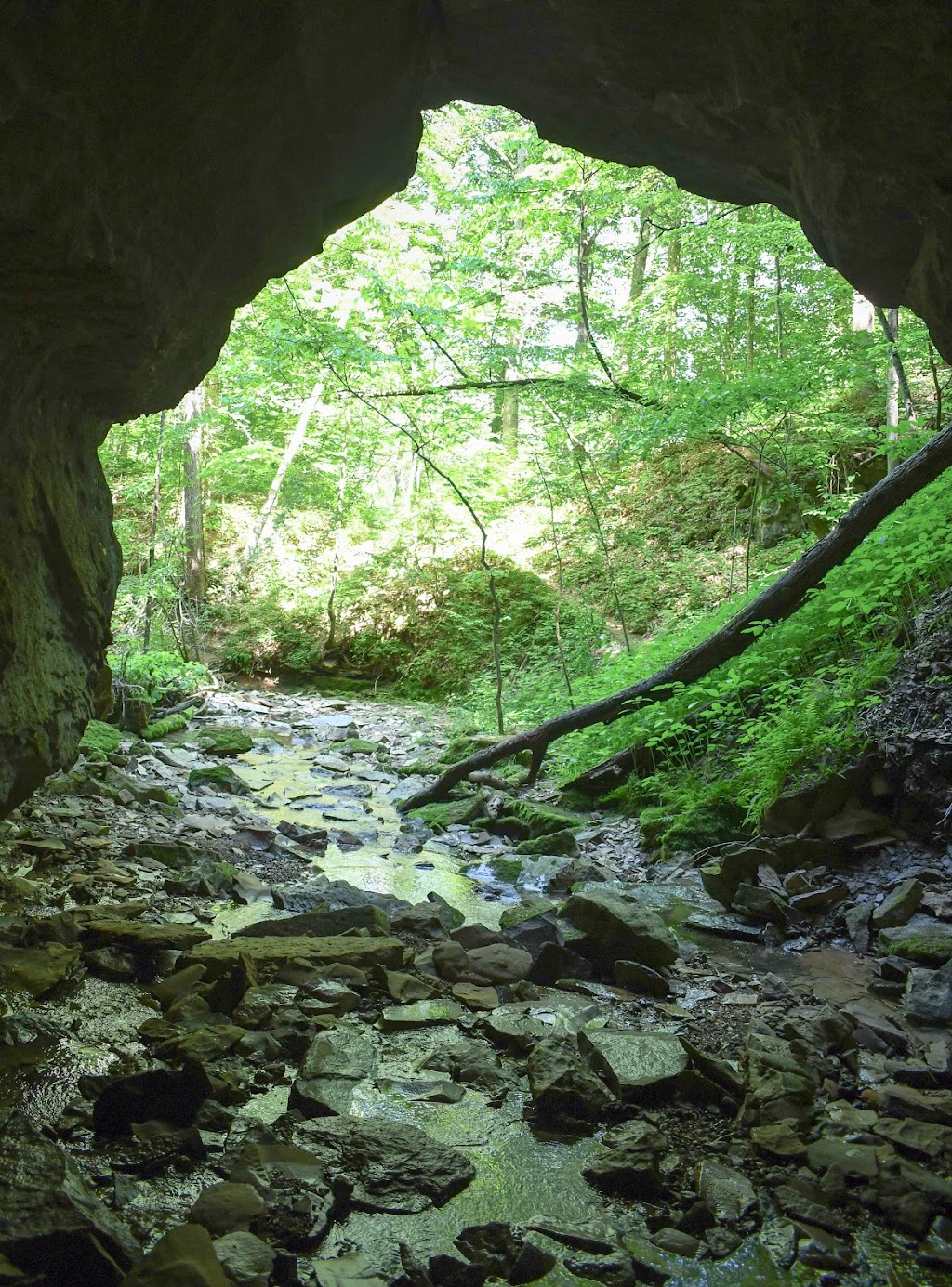 Cave River Valley Natural Area | 6031-6871 N Cave River Valley Rd, Campbellsburg, IN 47108, USA | Phone: (812) 849-3534