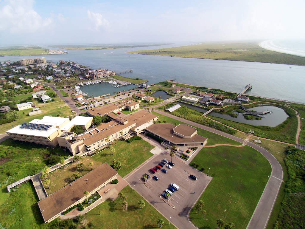 University of Texas, Marine Science Institute | 750 Channel View Dr, Port Aransas, TX 78373, USA | Phone: (361) 749-6711