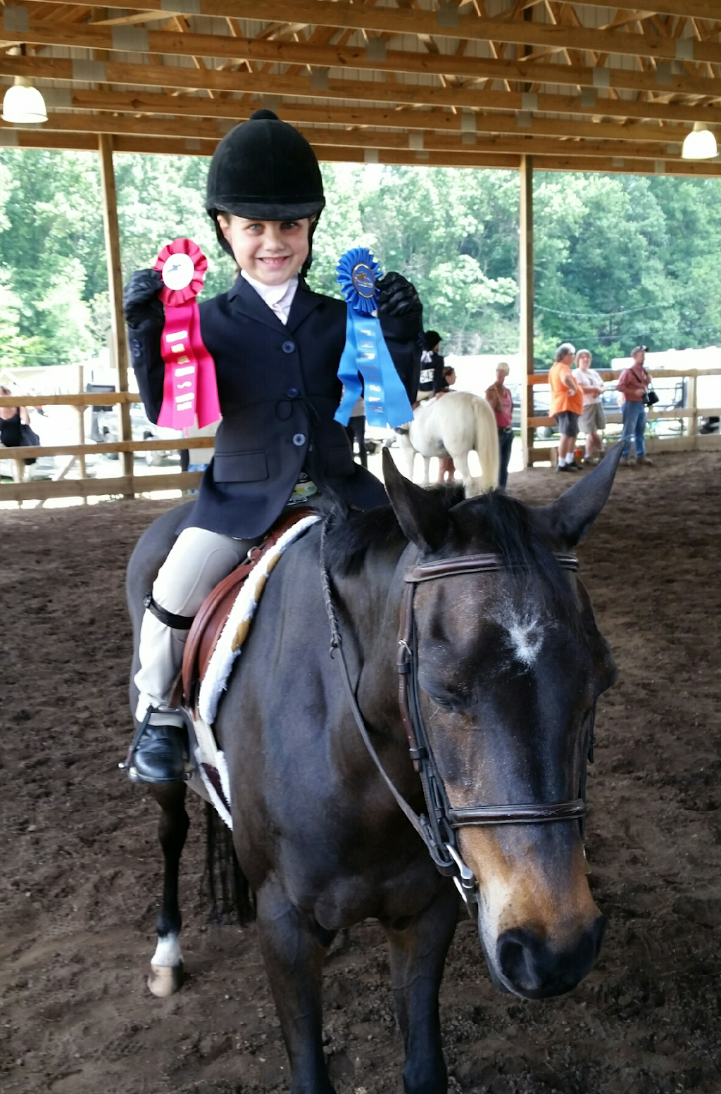 Spring Valley Stables Inc | 212 Warrendale Rd, Mars, PA 16046, USA | Phone: (724) 625-9003