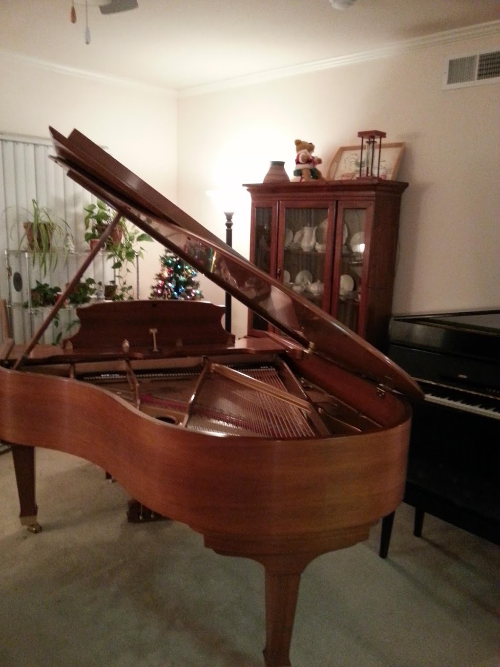 Traynor Piano and Voice | 6604 93rd St Apt. B, Overland Park, KS 66212 | Phone: (816) 289-7659