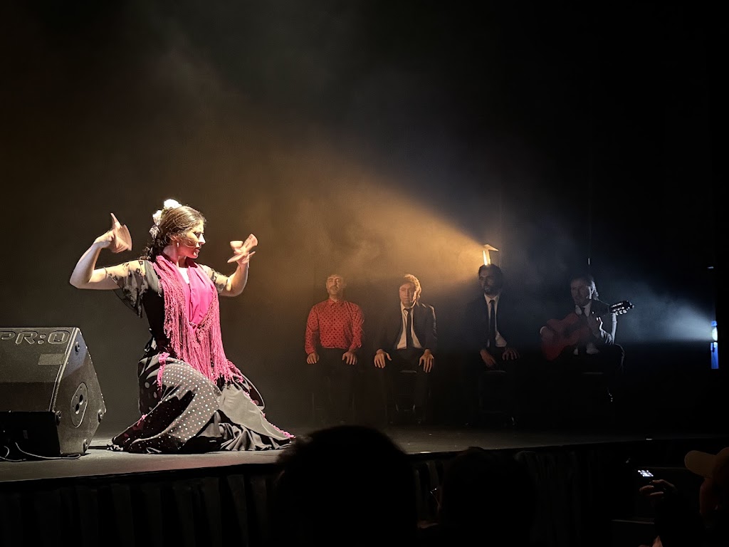 Teatro Flamenco Madrid | C. del Pez, 10, Centro, 28004 Madrid, Spain | Phone: 911 59 20 05