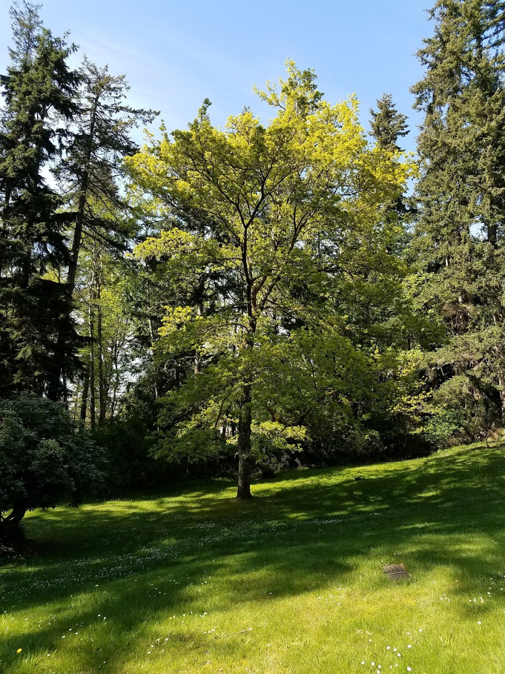 Swansonville Cemetery | Port Ludlow, WA 98365, USA | Phone: (360) 437-7990