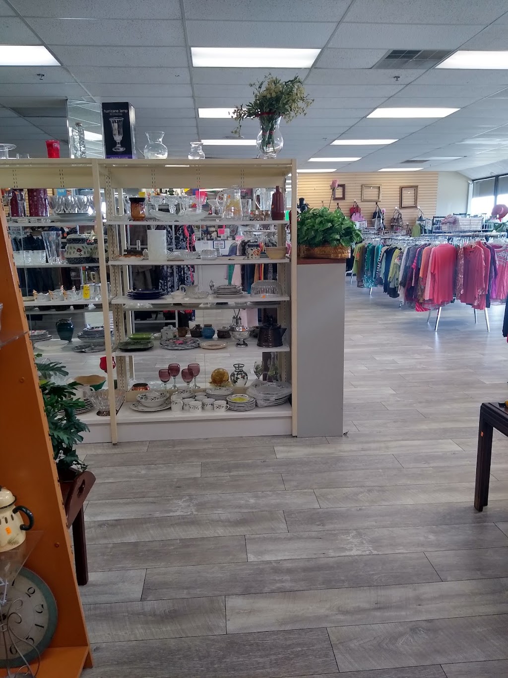 Coat of Many Colors | 625 Harwood Rd, Bedford, TX 76021, USA | Phone: (817) 428-2450