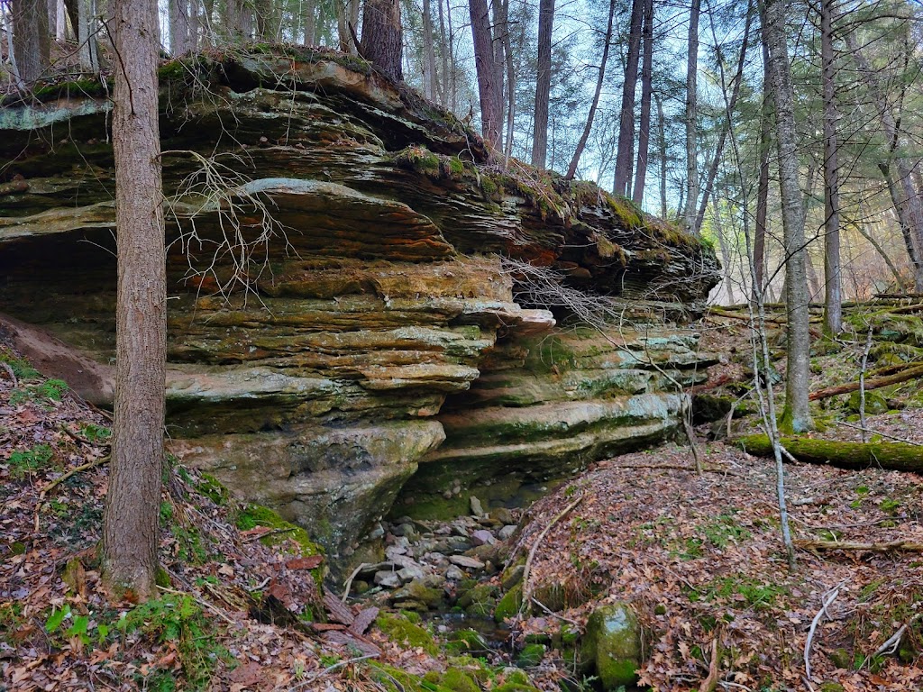 Pine Hollow State Natural Area | North Freedom, WI 53951, USA | Phone: (608) 356-5300