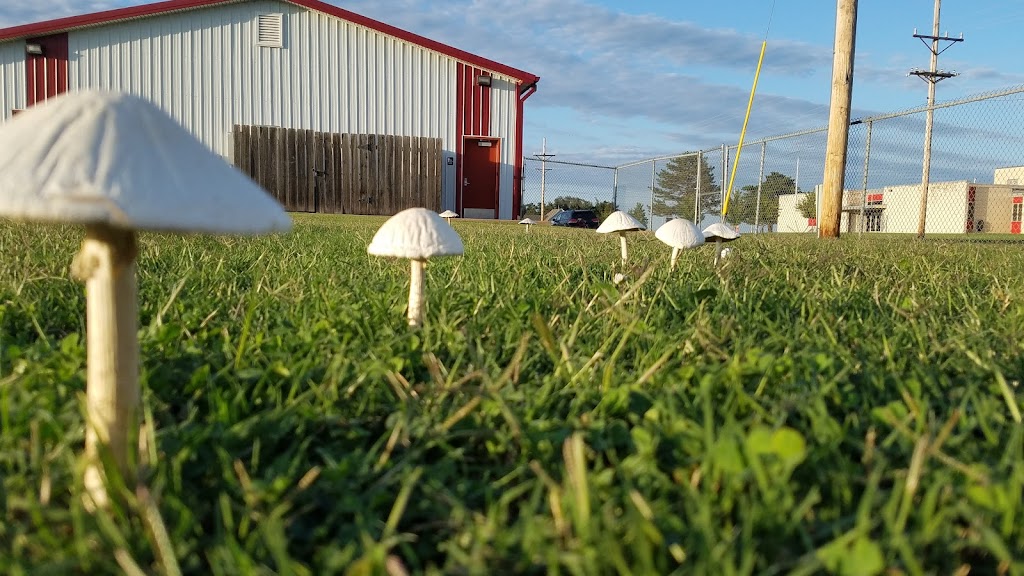 Argonia Jr Sr High School in 504 N Pine St, Argonia, KS 67004, USA