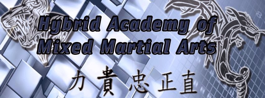 Hybrid Academy of Mixed Martial Arts | 207 Route 22 East, Green Brook Township, NJ 08812, USA | Phone: (732) 930-5425