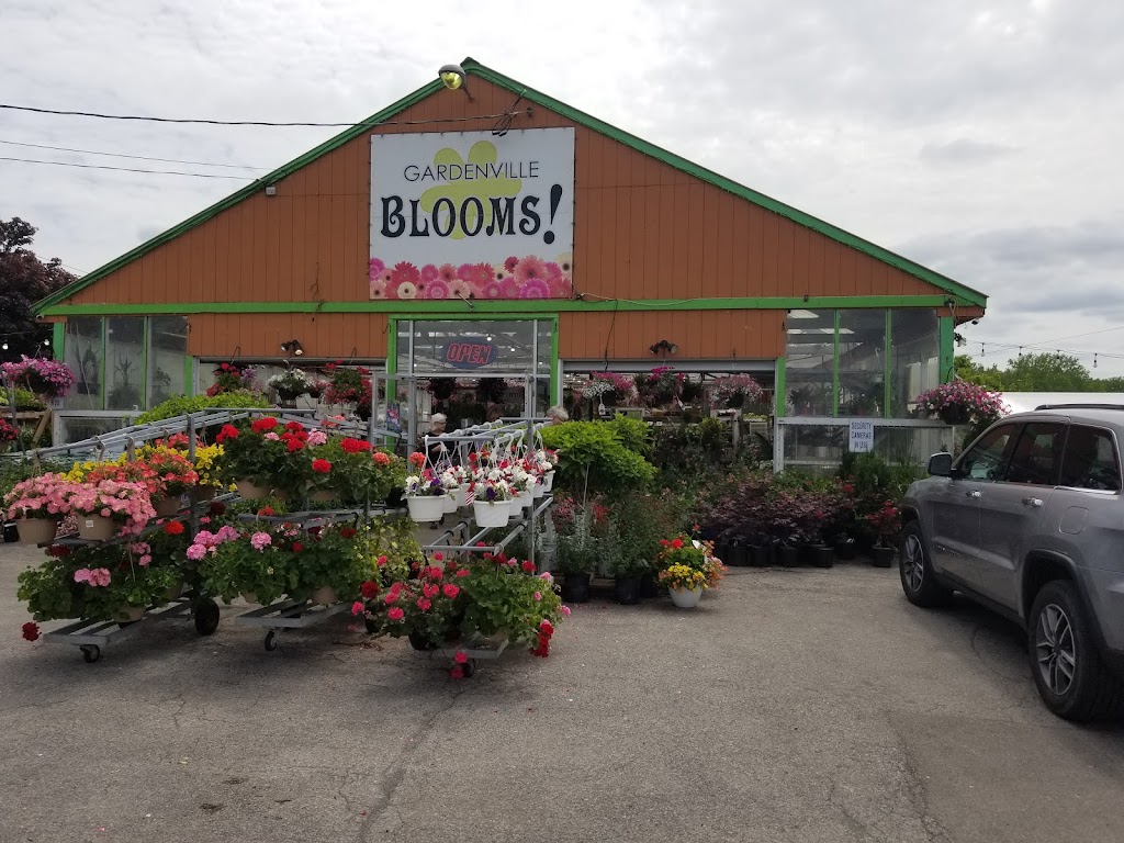 Gardenville Blooms | 2723 Clinton St, West Seneca, NY 14224, USA | Phone: (716) 826-3025