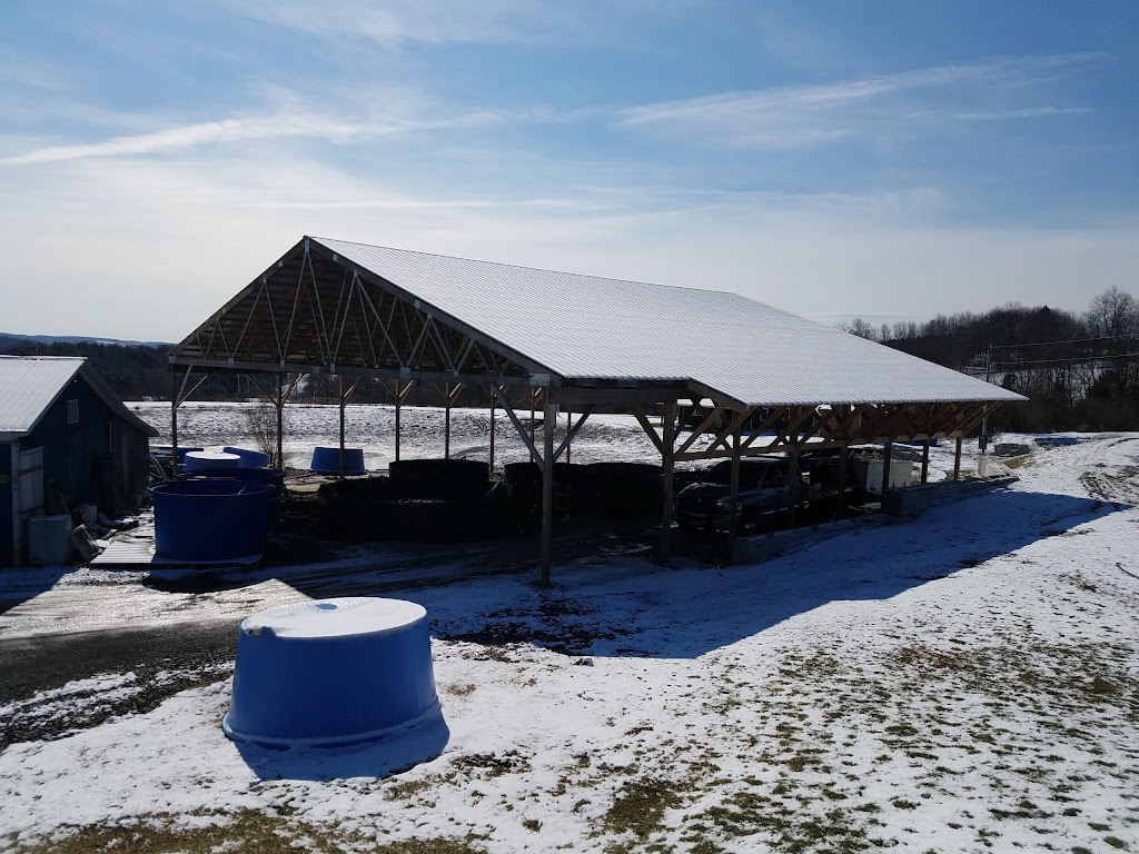 Hicklings Fish Farm Inc | 143 Hickling Rd, Edmeston, NY 13335, USA | Phone: (607) 965-8488