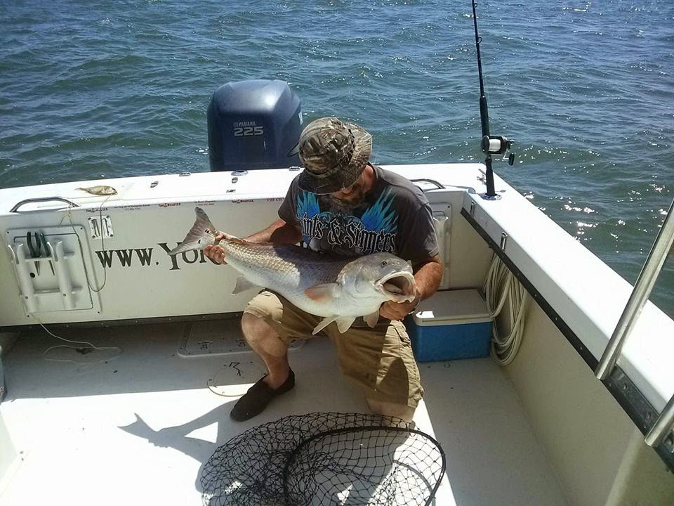 York River Charters | 8109 Yacht Haven Rd, Gloucester Point, VA 23062, USA | Phone: (757) 645-8397