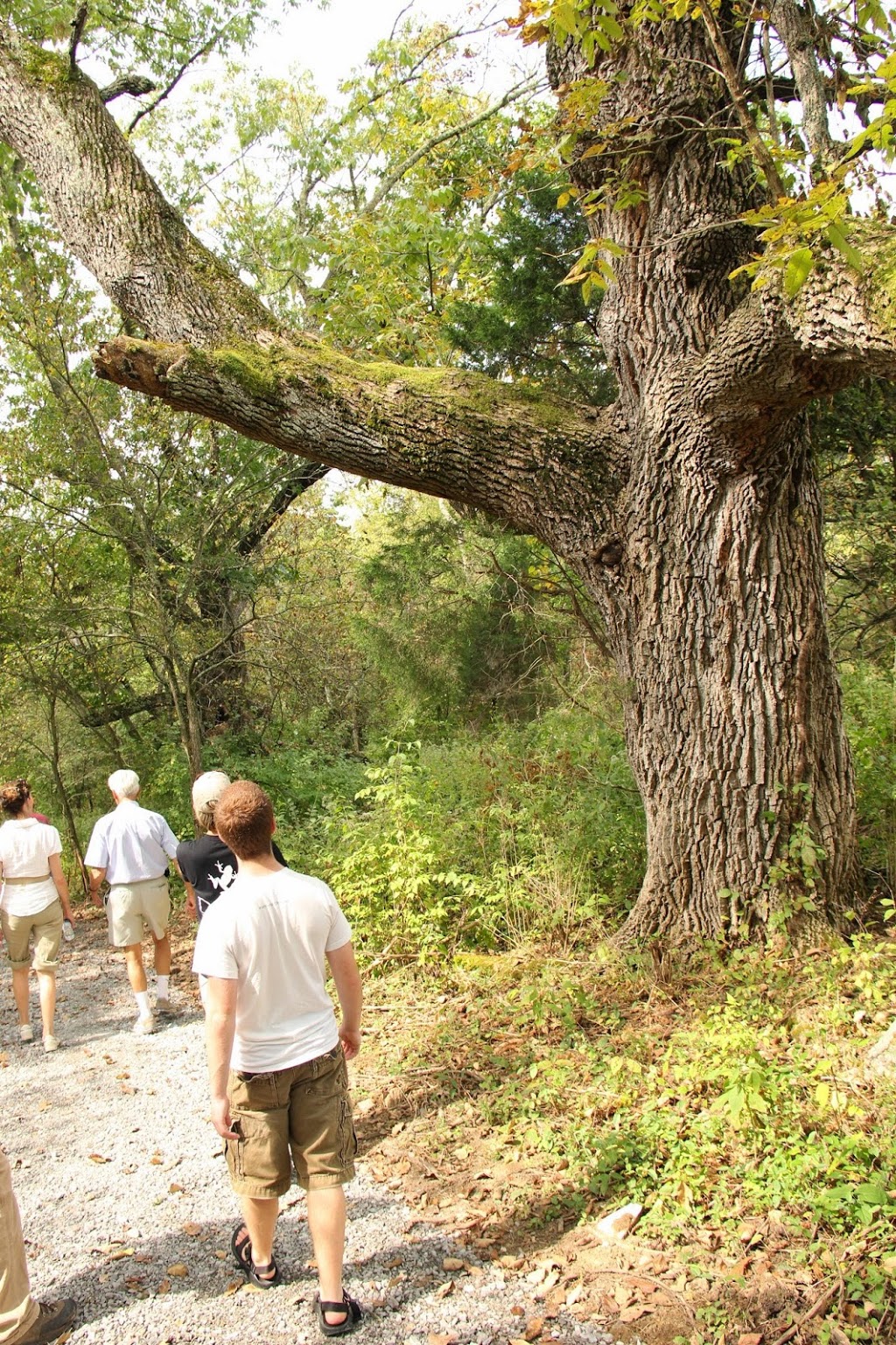 Dupree Nature Preserve | 2991 Pollys Bend Rd, Lancaster, KY 40444, USA | Phone: (859) 259-9655