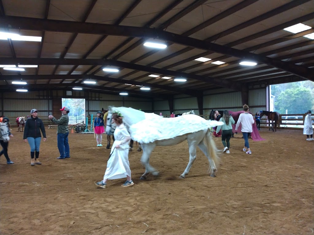 Blue Skies Riding Academy | 501 Puckett Rd SE, Emerson, GA 30137, USA | Phone: (770) 926-2003