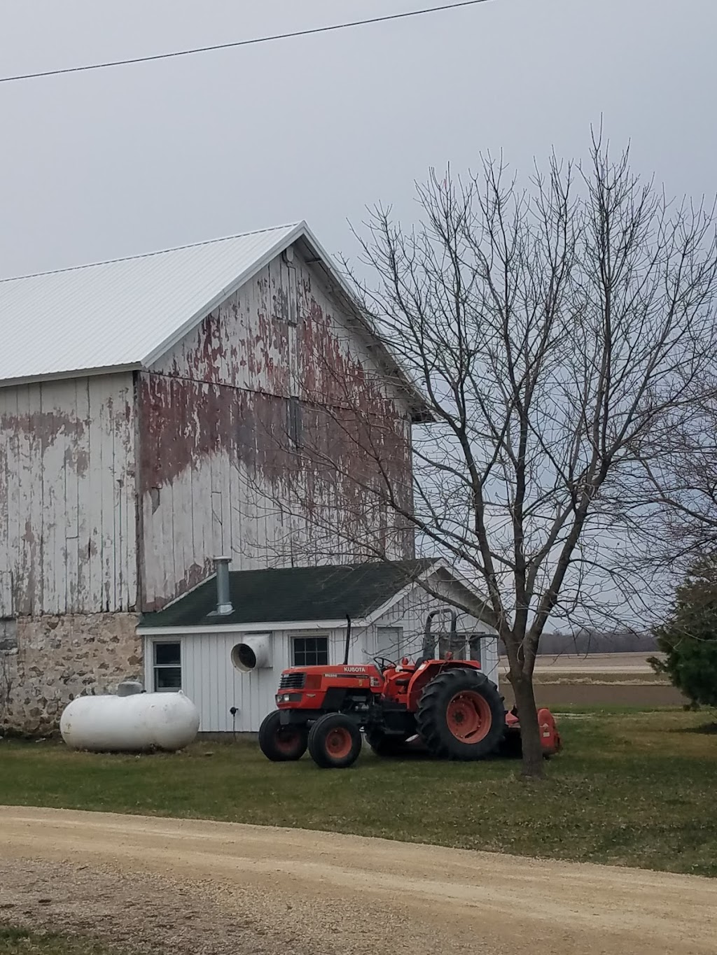 Tomato Mountain Farm | 5681 W Howard St, Niles, IL 60714, USA | Phone: (312) 768-8208