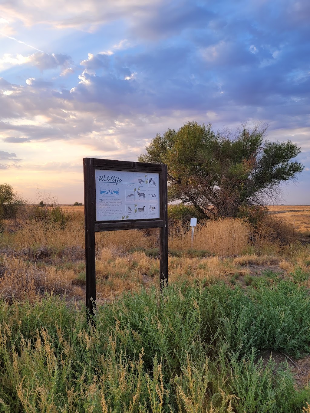 Pixley National Wildlife Refuge | Rd 88, Earlimart, CA 93219, USA | Phone: (661) 725-2767