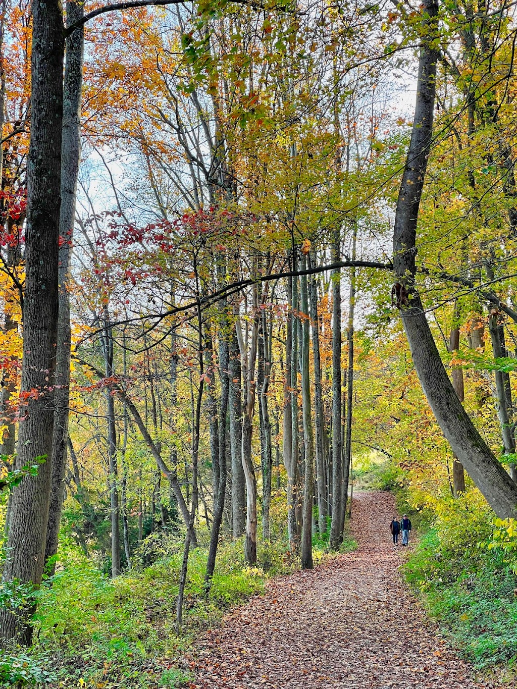 Lake Needwood, Rock Creek Regional Park | 15700 Needwood Lake Cir, Derwood, MD 20855, USA | Phone: (301) 495-2595