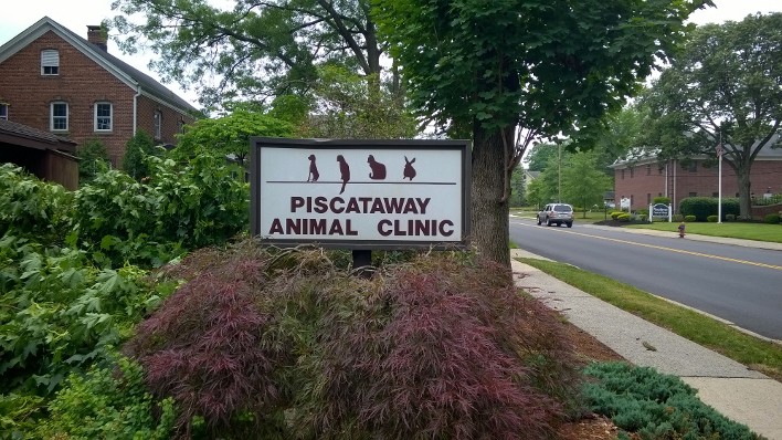 Piscataway Animal Clinic | 13 Stelton Rd, Piscataway, NJ 08854, USA | Phone: (732) 968-6888