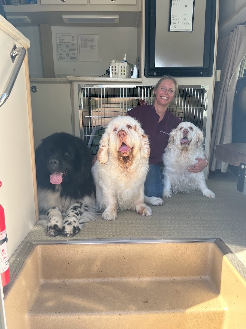 The Visiting Vet North County | Vía Puerta Del Sol, Bonsall, CA 92003, USA | Phone: (760) 420-5523