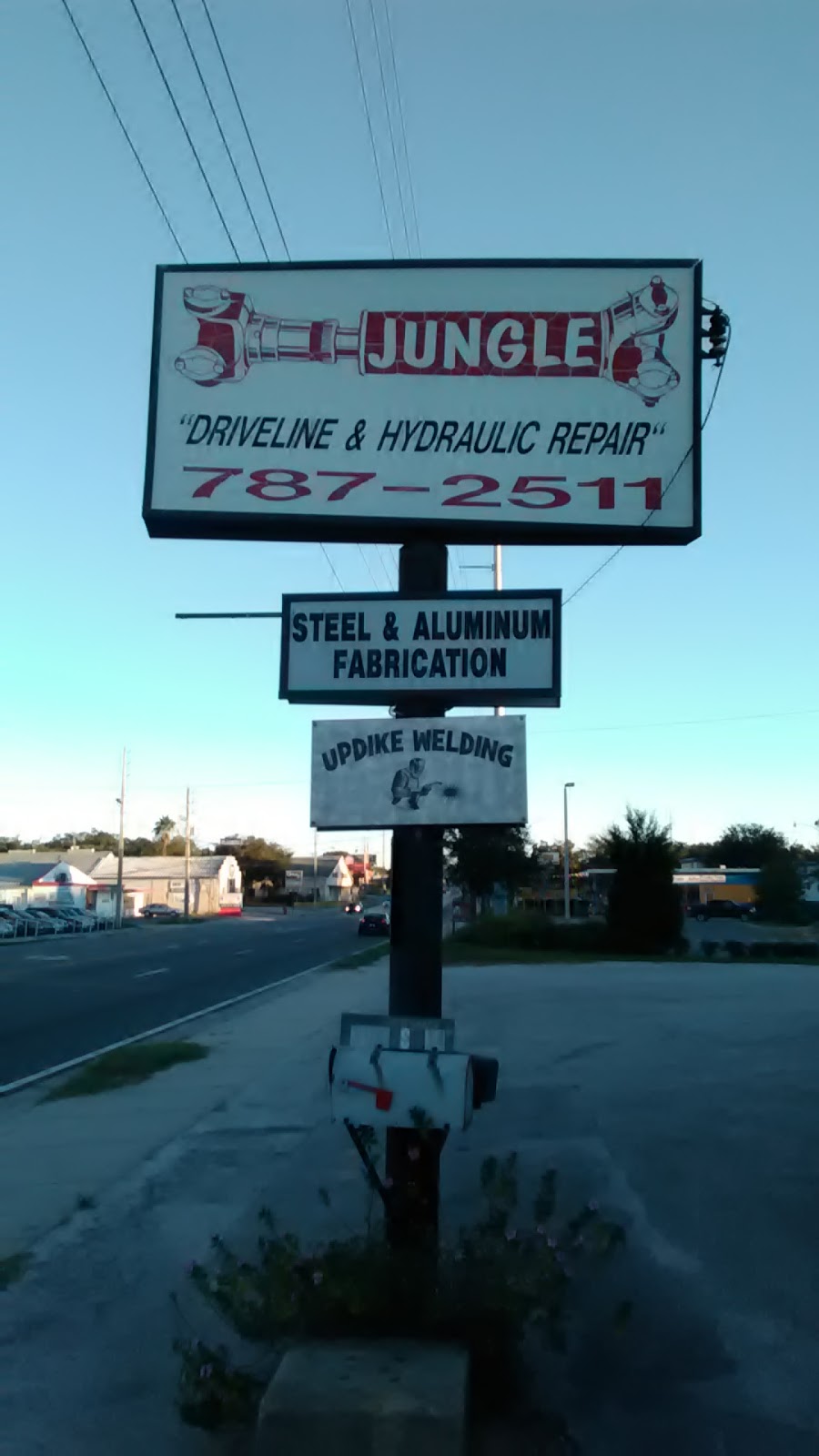 Jungle Auto | 1407 Colfax St, Leesburg, FL 34748, USA | Phone: (352) 787-2511