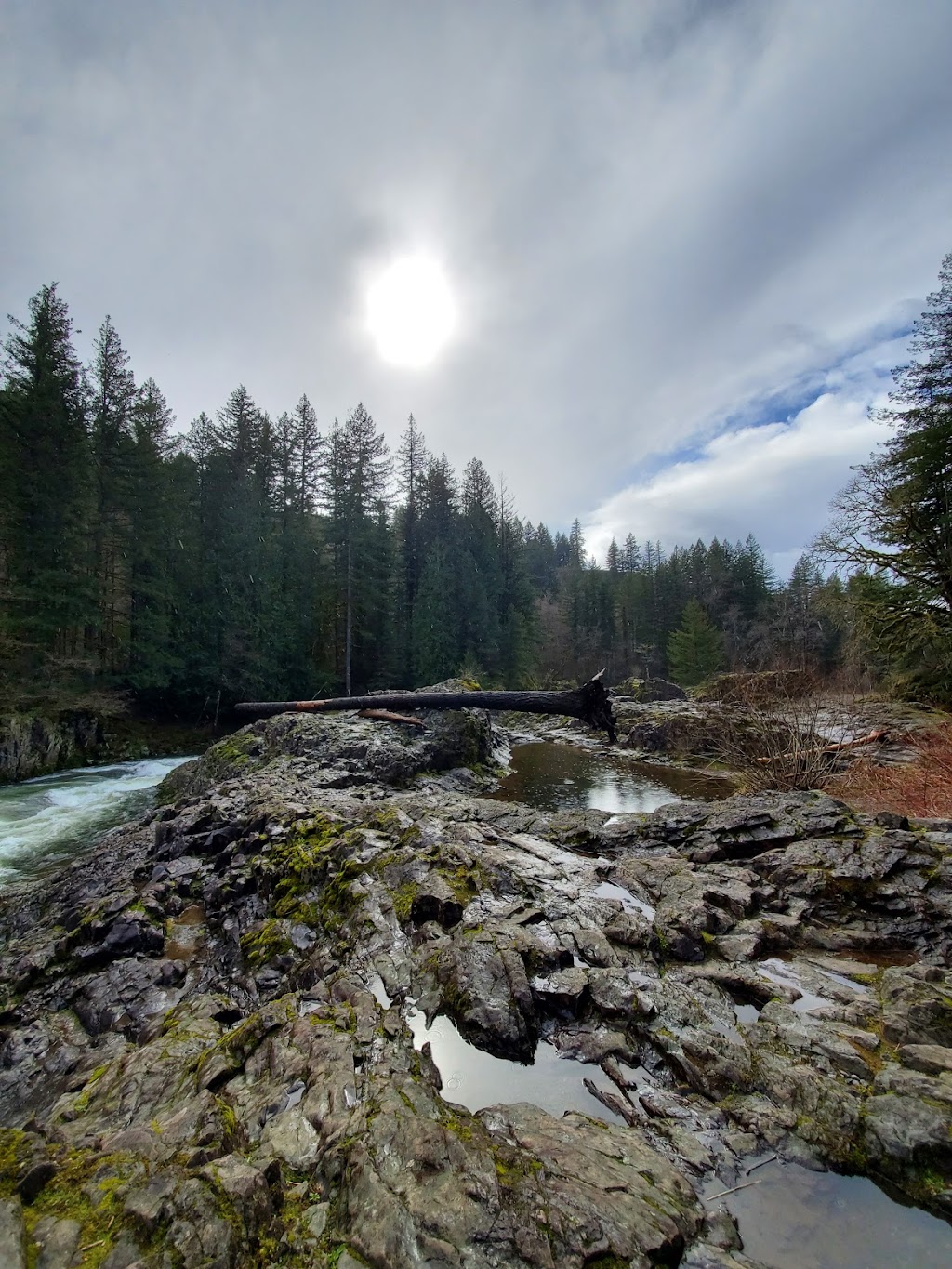 Lucia Falls Regional Park | 21803 NE Lucia Falls Rd, Yacolt, WA 98675, USA | Phone: (360) 397-2446