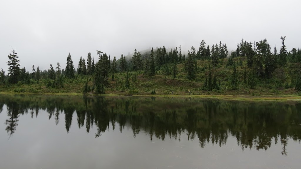 Mt. Baker-Snoqualmie National Forest Ranger Station | 450 Roosevelt Ave, Enumclaw, WA 98022, USA | Phone: (360) 825-6585