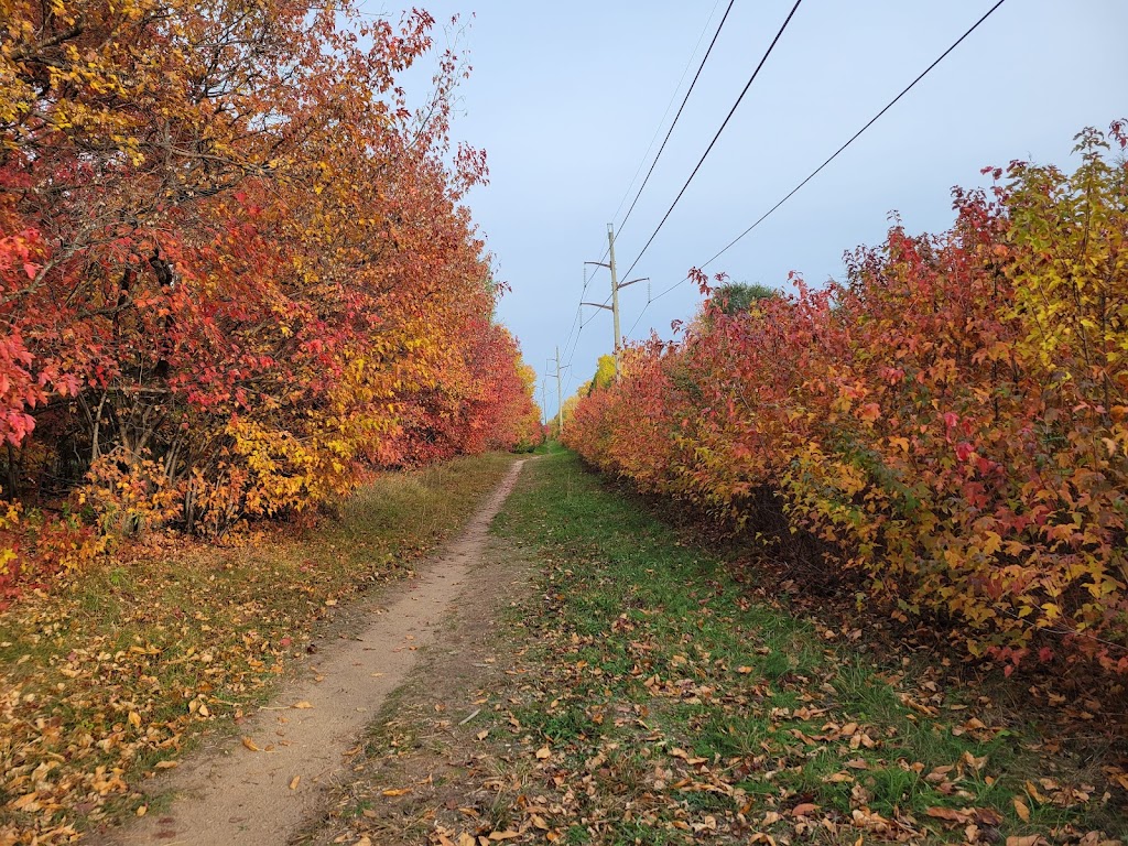 Rush Creek Regional Trail- Trailhead | West River Rd & Coon Rapids Dam, Brooklyn Park, MN 55444, USA | Phone: (763) 559-9000