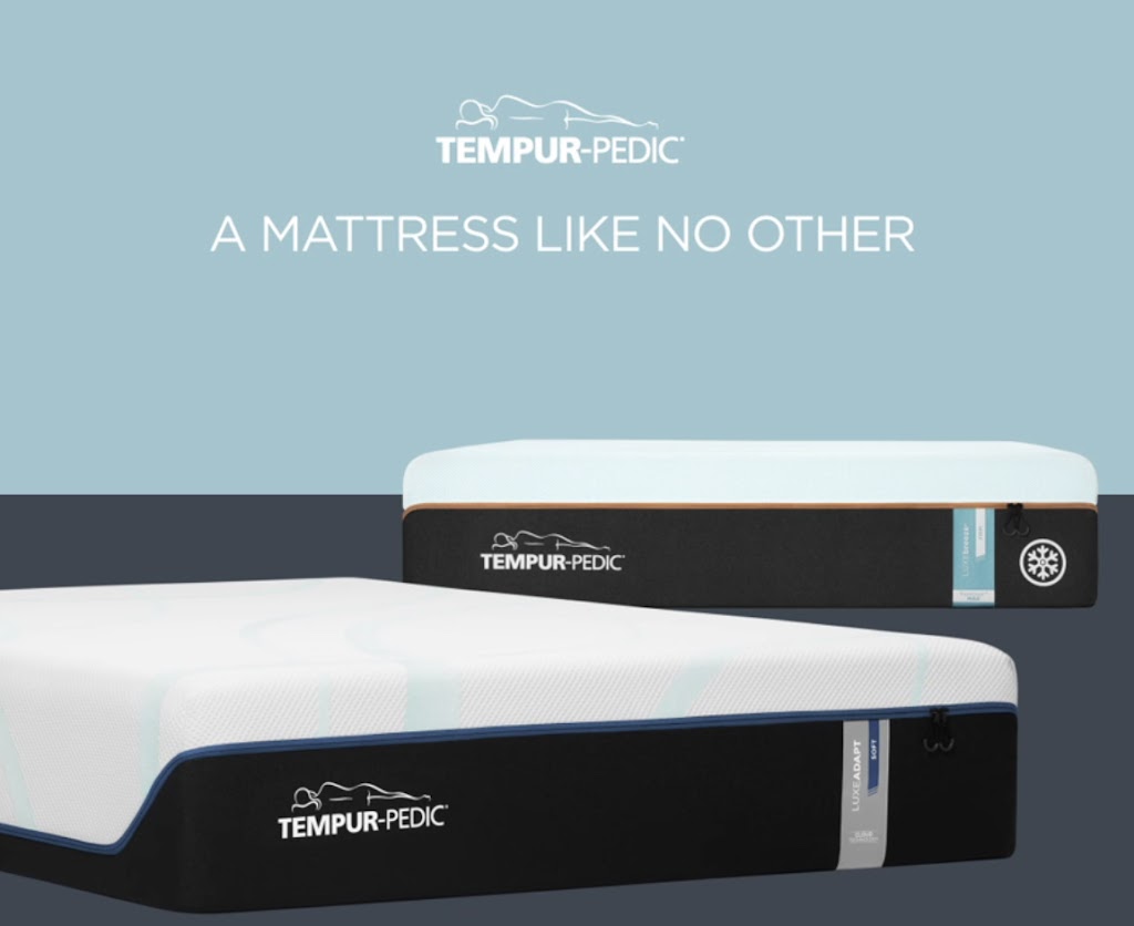 Asleep Mattress | 1303 US Hwy 127 S, UNIT 102, Frankfort, KY 40601, USA | Phone: (502) 699-2901