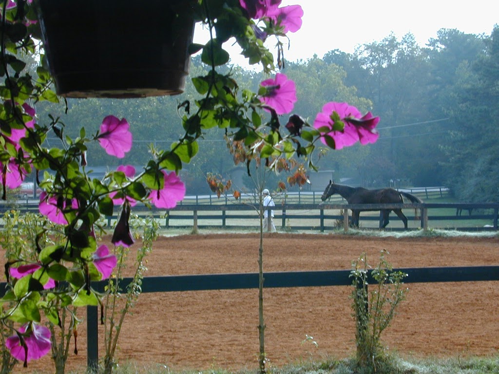 KLM Equine | 5060 Sugar Pike Rd Suite 101, Canton, GA 30115, USA | Phone: (770) 752-0177