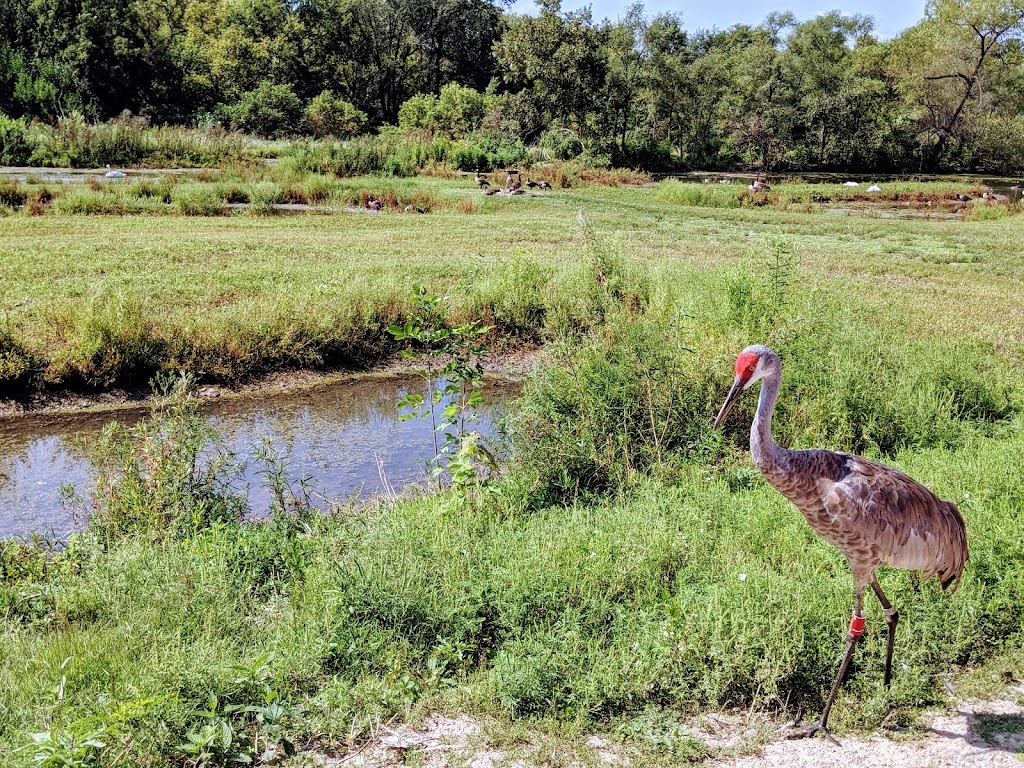 Nebraskas Wildlife Safari Park | 814 E Park Hwy, Ashland, NE 68003, USA | Phone: (402) 944-9453