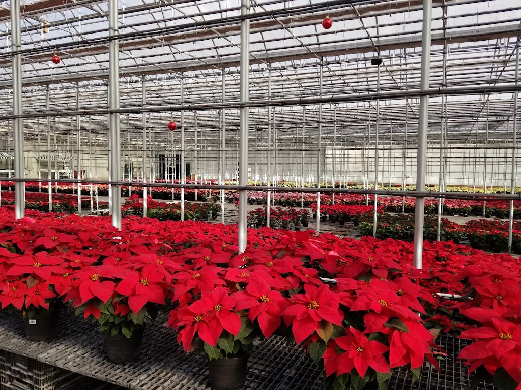 N.G. Heimos Greenhouses | 6627 IL-158, Millstadt, IL 62260, USA | Phone: (866) 444-4590