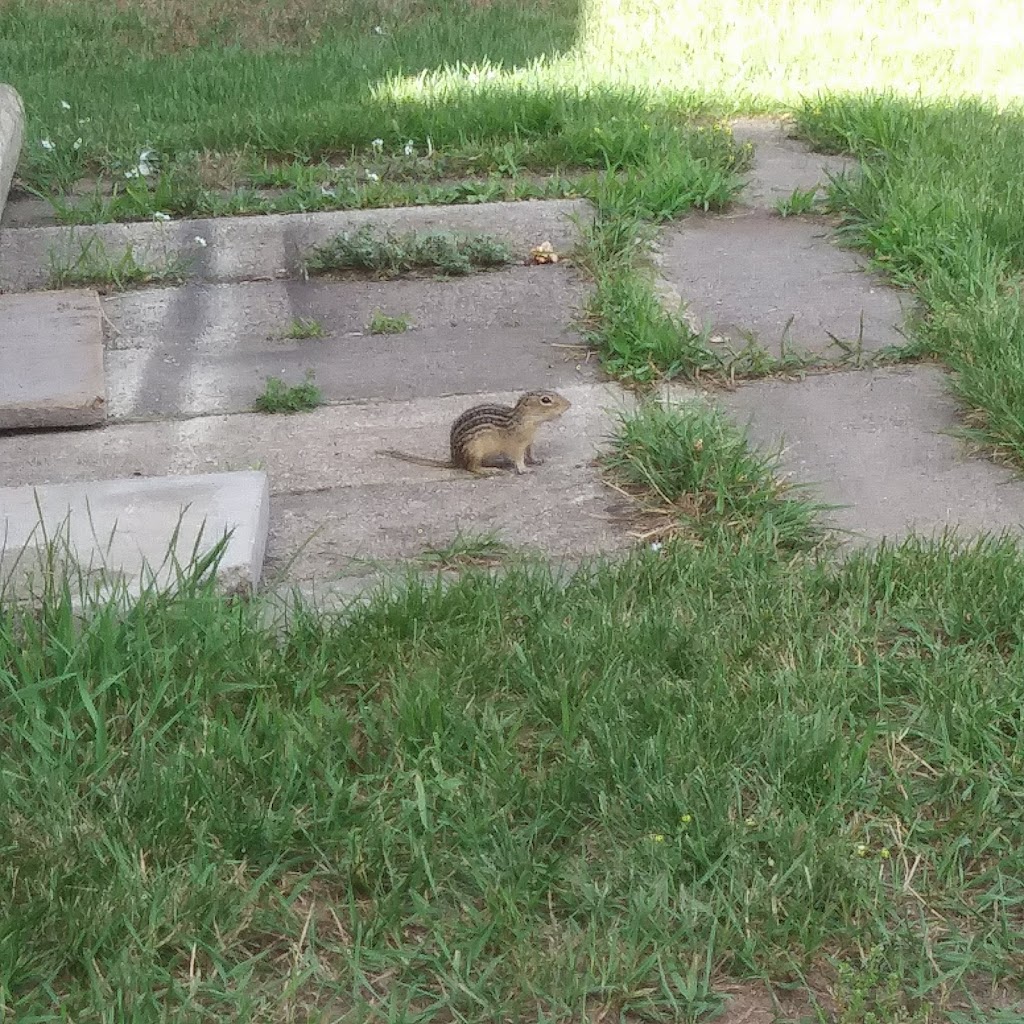 Rum River Motel Princeton | 510 19th Ave N, Princeton, MN 55371, USA | Phone: (763) 389-3120