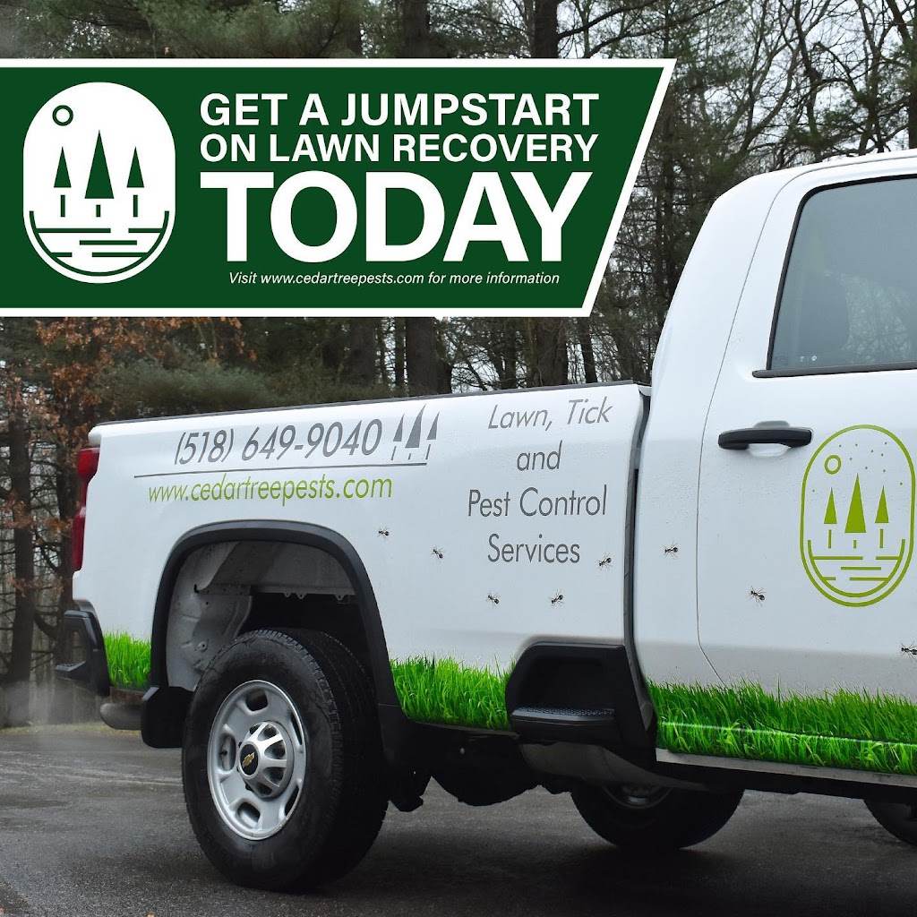 Cedar Tree Properties | 4217 Albany St, Albany, NY 12205, USA | Phone: (518) 649-9040