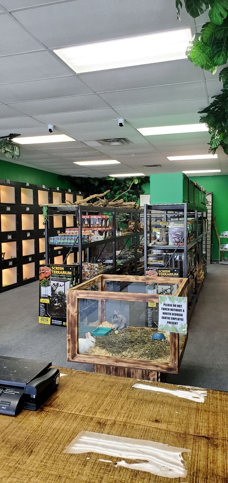 North Georgia Exotics | 5054 Allatoona Gateway, Acworth, GA 30101 | Phone: (678) 590-0067