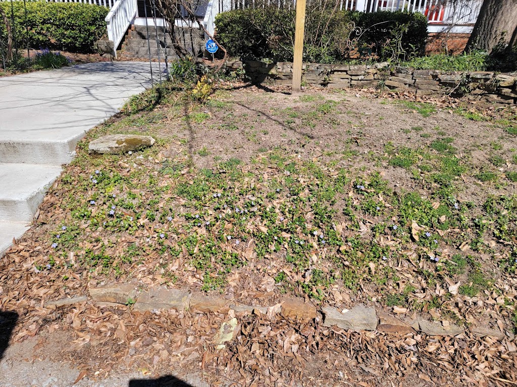 GOLD PINE LAWN CARE | Pine Meadow Dr, Marietta, GA 30066, USA | Phone: (404) 276-4828