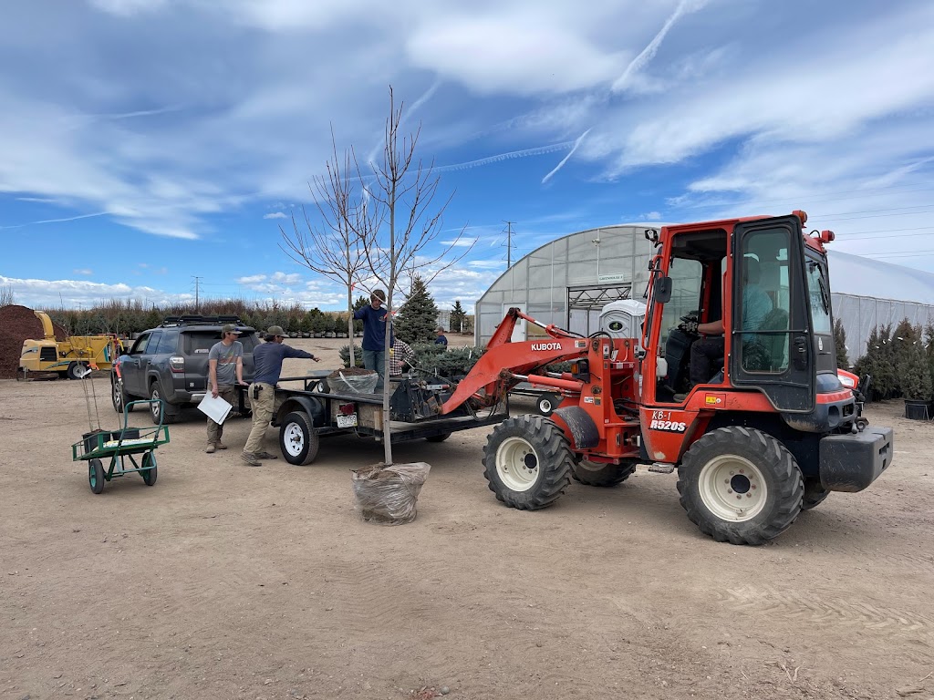 Heidrichs Colorado Tree Farm Nursery | 7440 Templeton Gap Rd, Colorado Springs, CO 80923, USA | Phone: (719) 598-8733