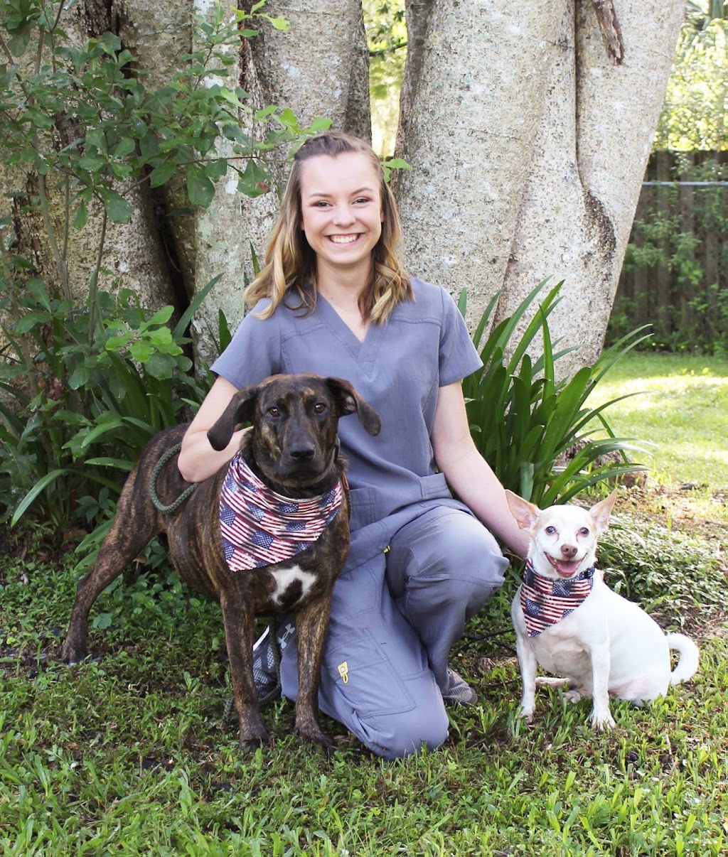 Brooksville Veterinary Clinic | 900 Ponce De Leon Blvd, Brooksville, FL 34601, USA | Phone: (352) 796-5181