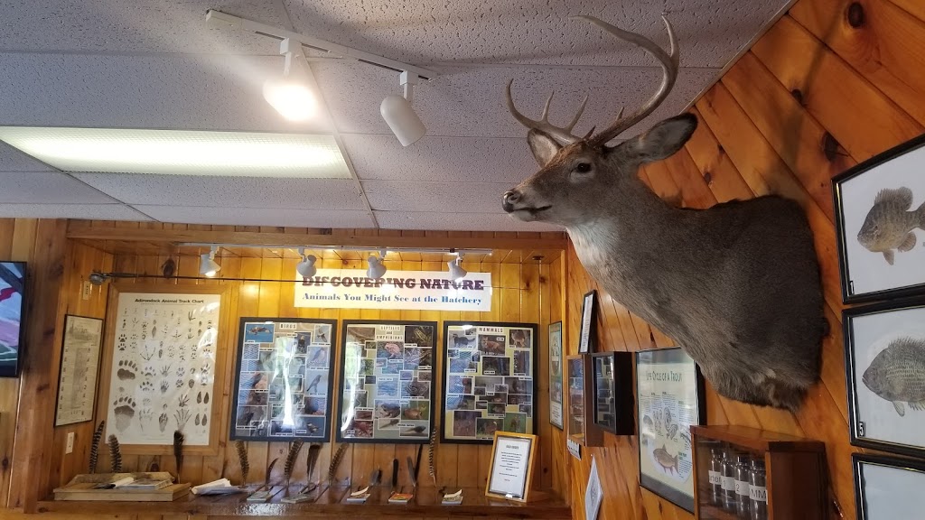 Warren County Fish Hatchery | 145 Echo Lake Rd, Warrensburg, NY 12885, USA | Phone: (518) 623-5576